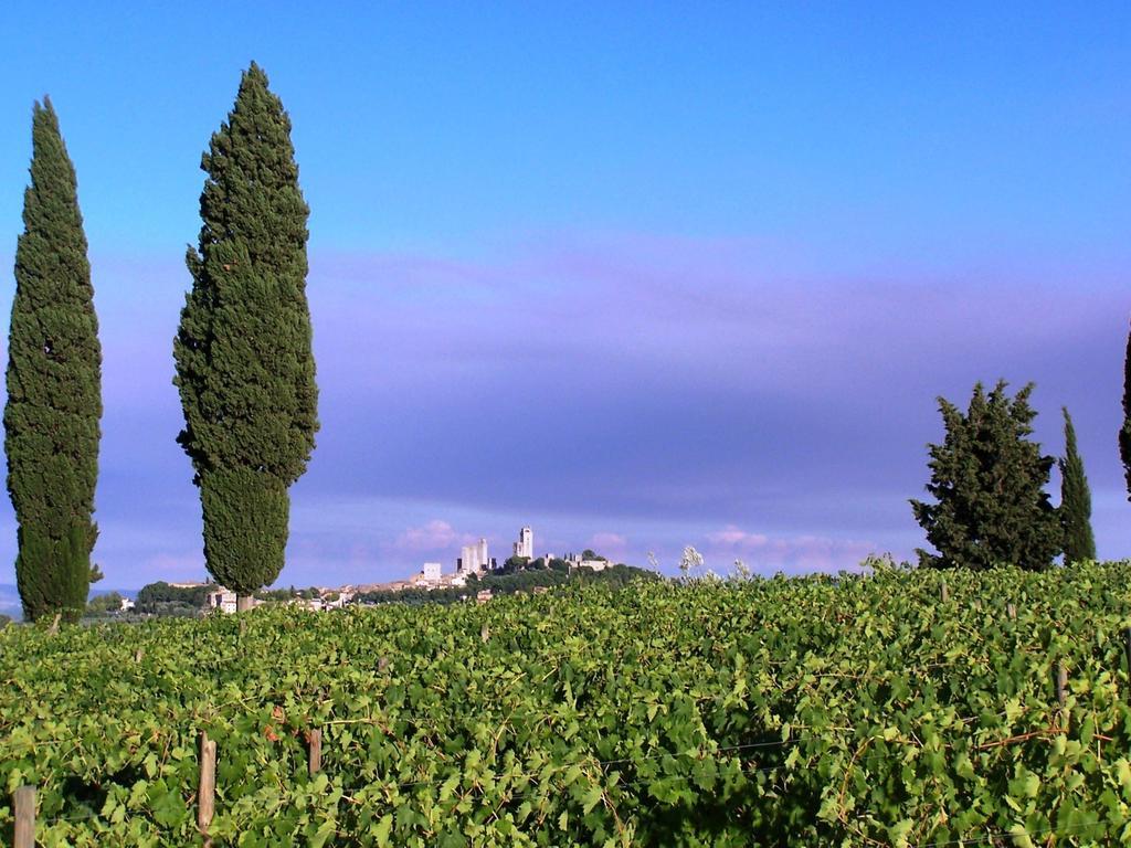 Apartamento Poggetto Di Montese San Gimignano Habitación foto